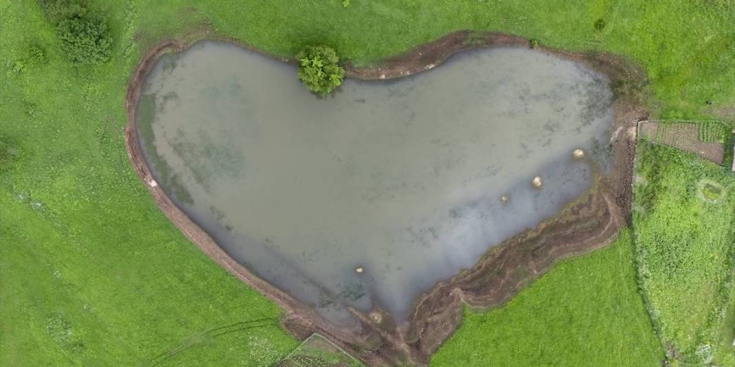 Yeşilin en güzel tonları burada buluşuyor! Türkiye’nin doğal cenneti: Havası da görüntüsü de büyülüyor 4